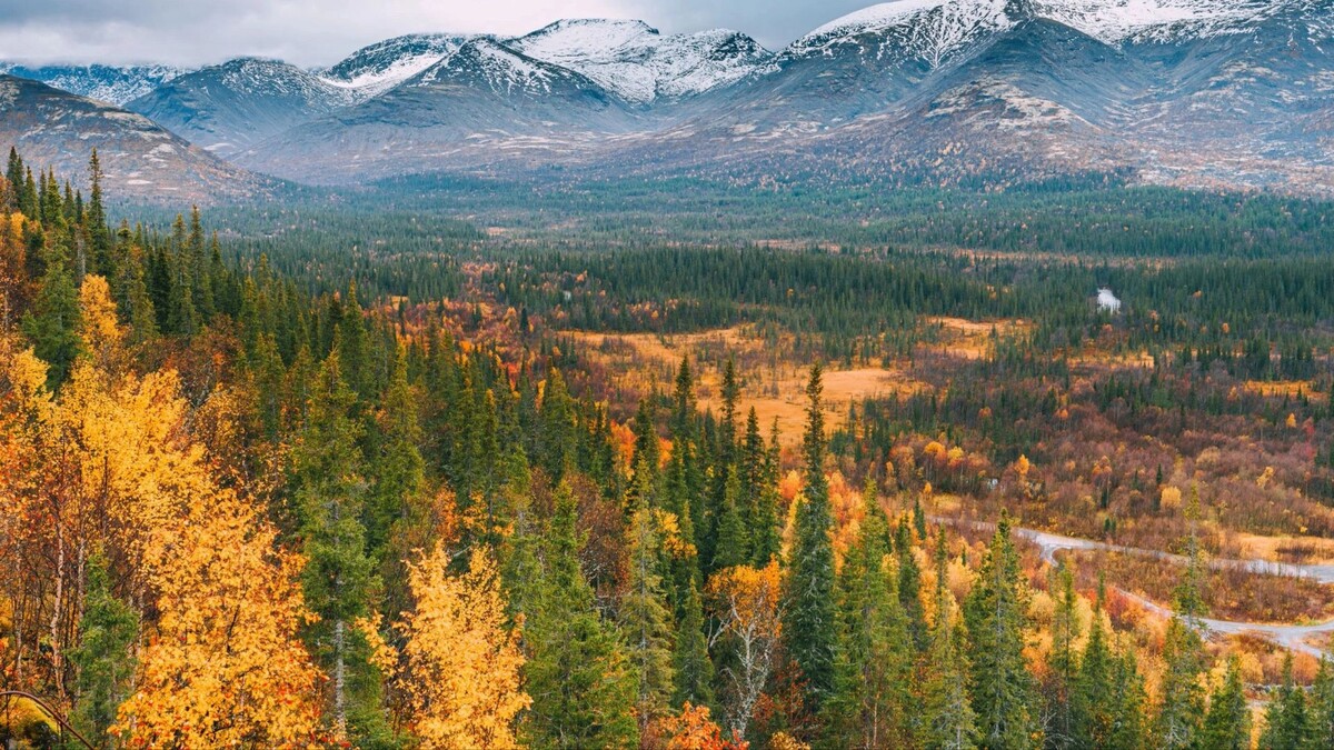    Фото: Ksenya_89/Shutterstock/Fotodom