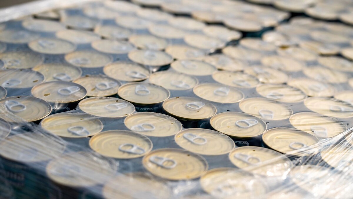    Фото: Сергей Зубков /«Ямал-Медиа»