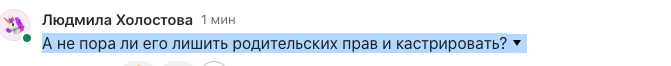 скрин автора источник https://dzen.ru/a/aOoSrxYSmW5dDcYM?comments_data=n_reply