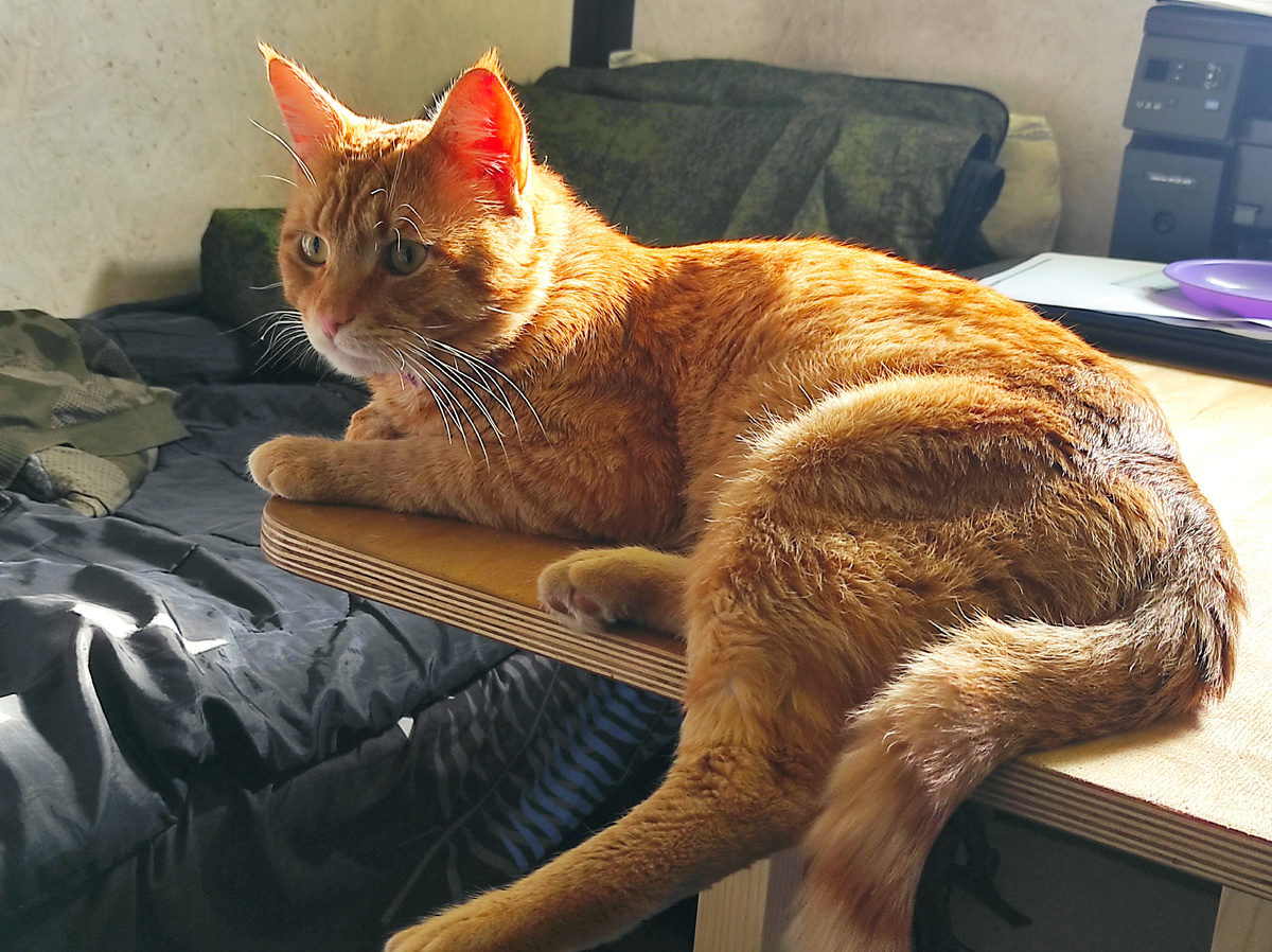 Единственный грех – любит столы