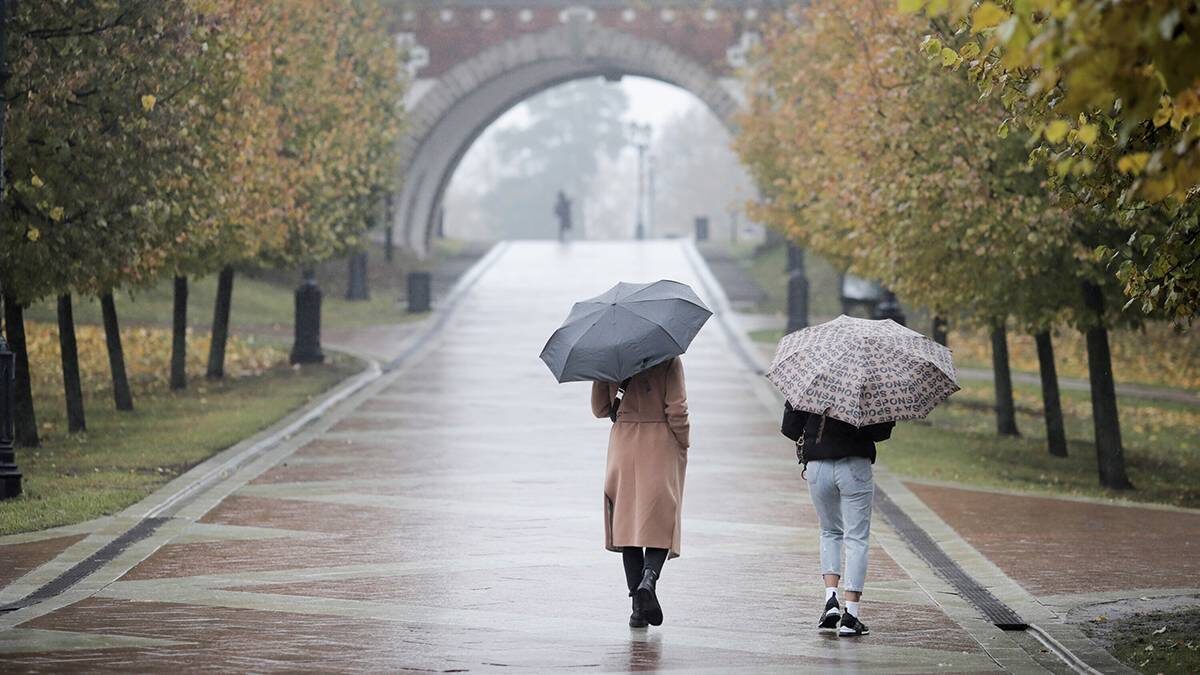    Фото: Василий Кузьмиченок / АГН Москва