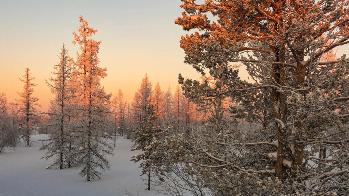    Фото: Vladimir Endovitskiy/Shutterstock/Fotodom