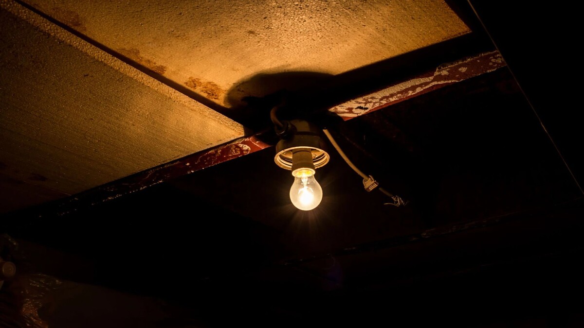    Фото: Cryptographer/Shutterstock/Fotodom