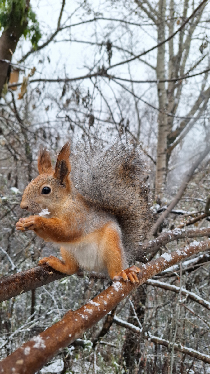 До сих пор поражаюсь, неужели им так удобно есть?😁🤸‍♂