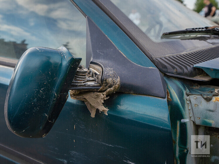    Фото: ИА "Татар-информ"