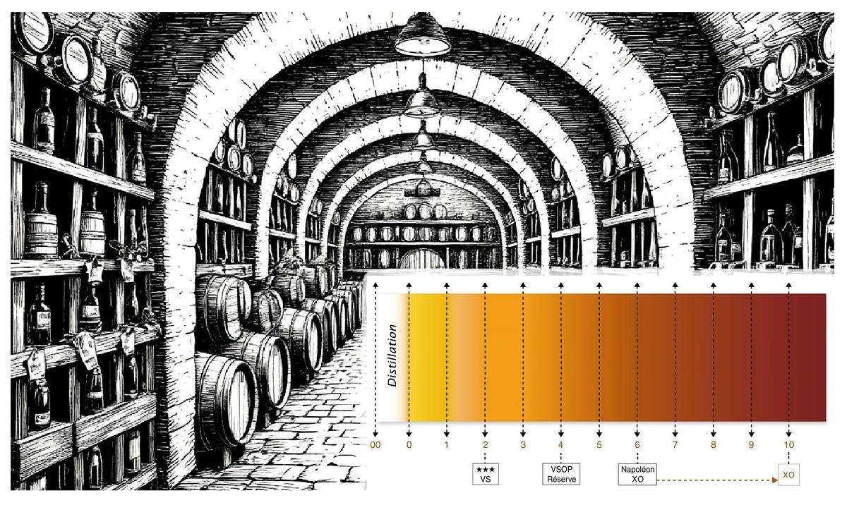 Изменение цвета коньяка в зависимости от выдержки