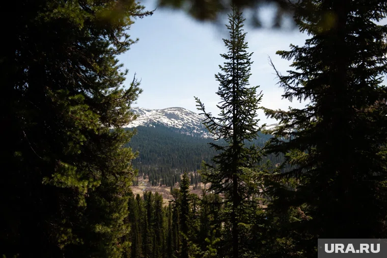 Семья Усольцевых собиралась в поход за несколько дней
Фото: Анна Майорова © URA.RU