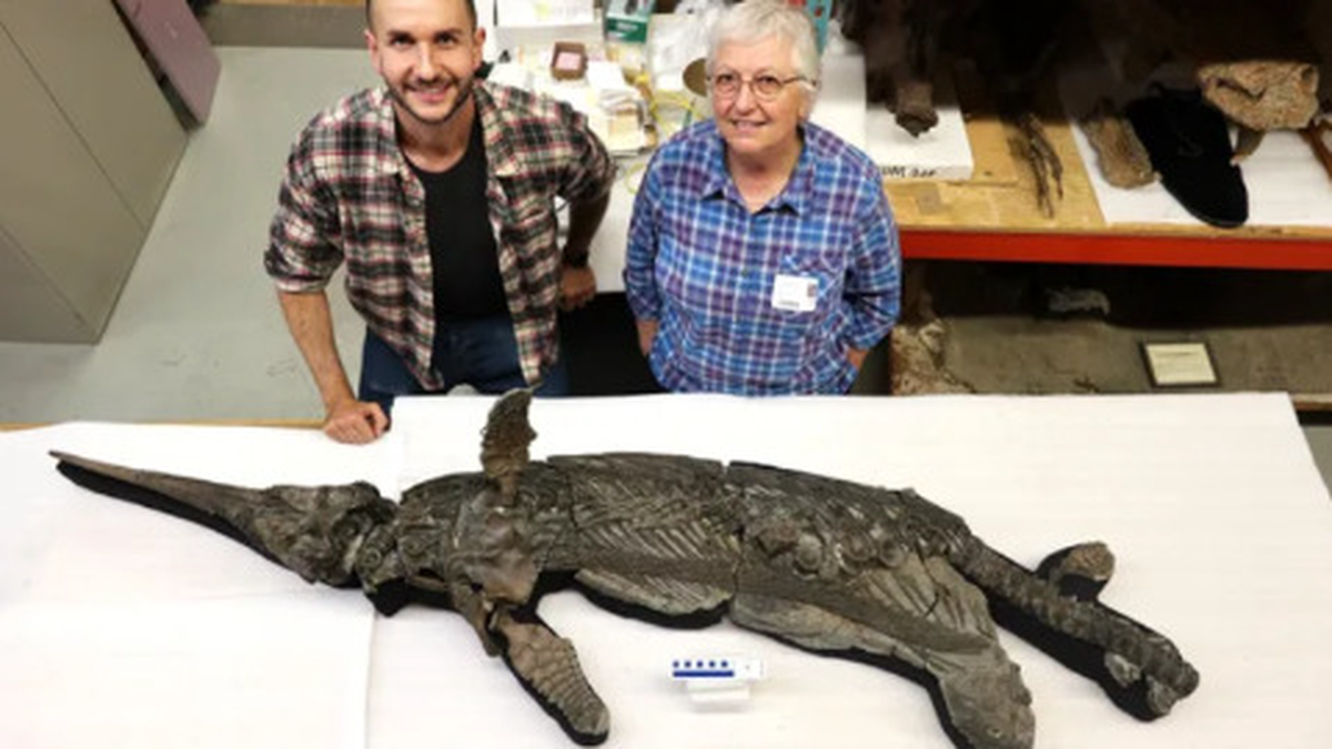    Фото: Королевский музей Онтарио