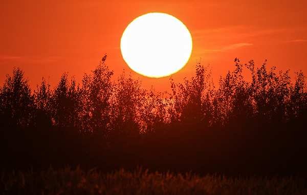 Владимир Смирнов/ТАСС