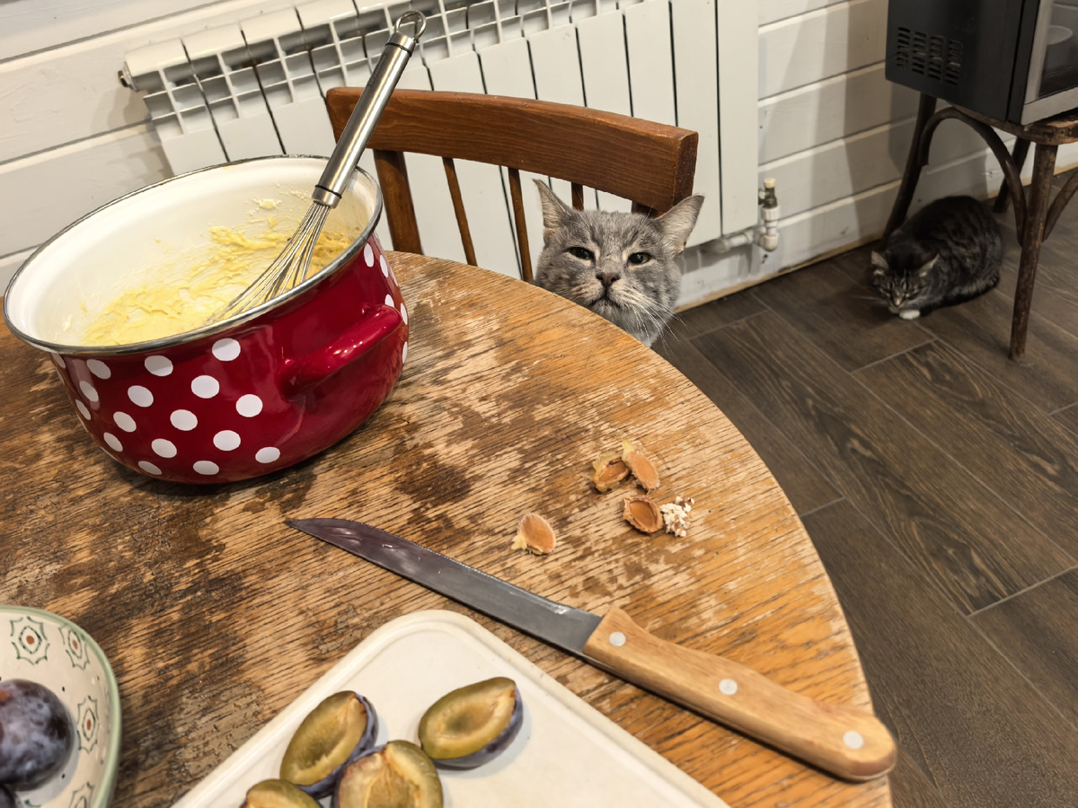 Сеня помогал больше всех