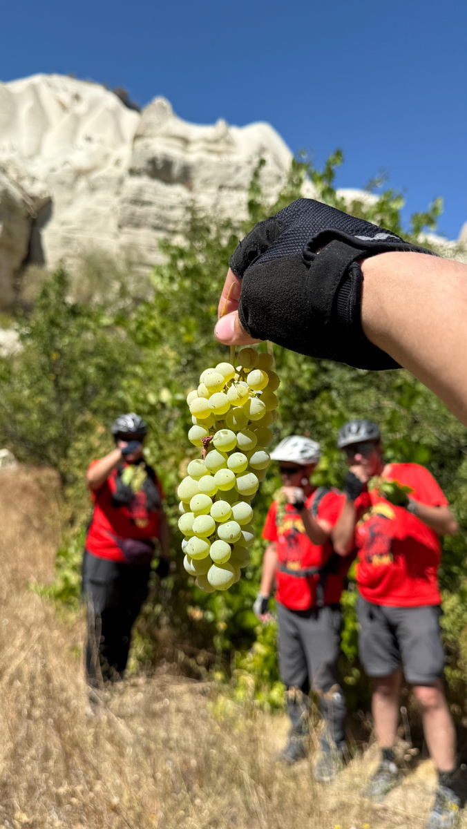 Бесплатный виноград!