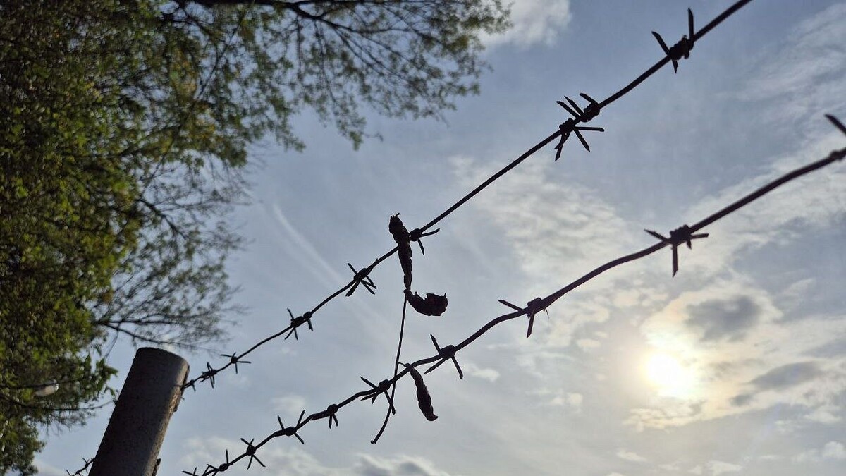    Фото: телеканал «Краснодар»