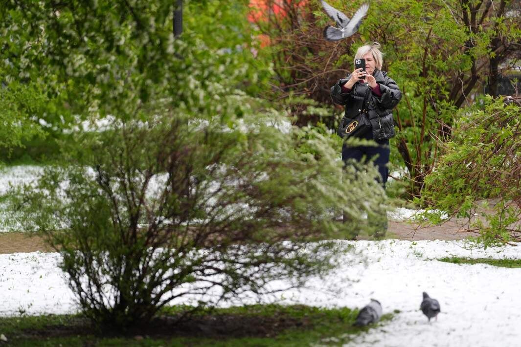 Фото: ИЗВЕСТИЯ/Эдуард Корниенко