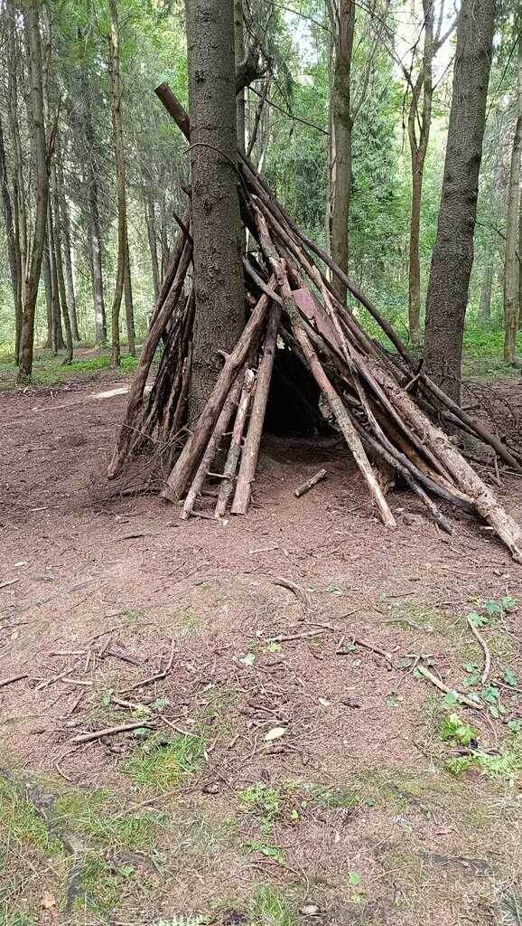 Парк Беличий остров, город Петрозаводск, республика Карелия