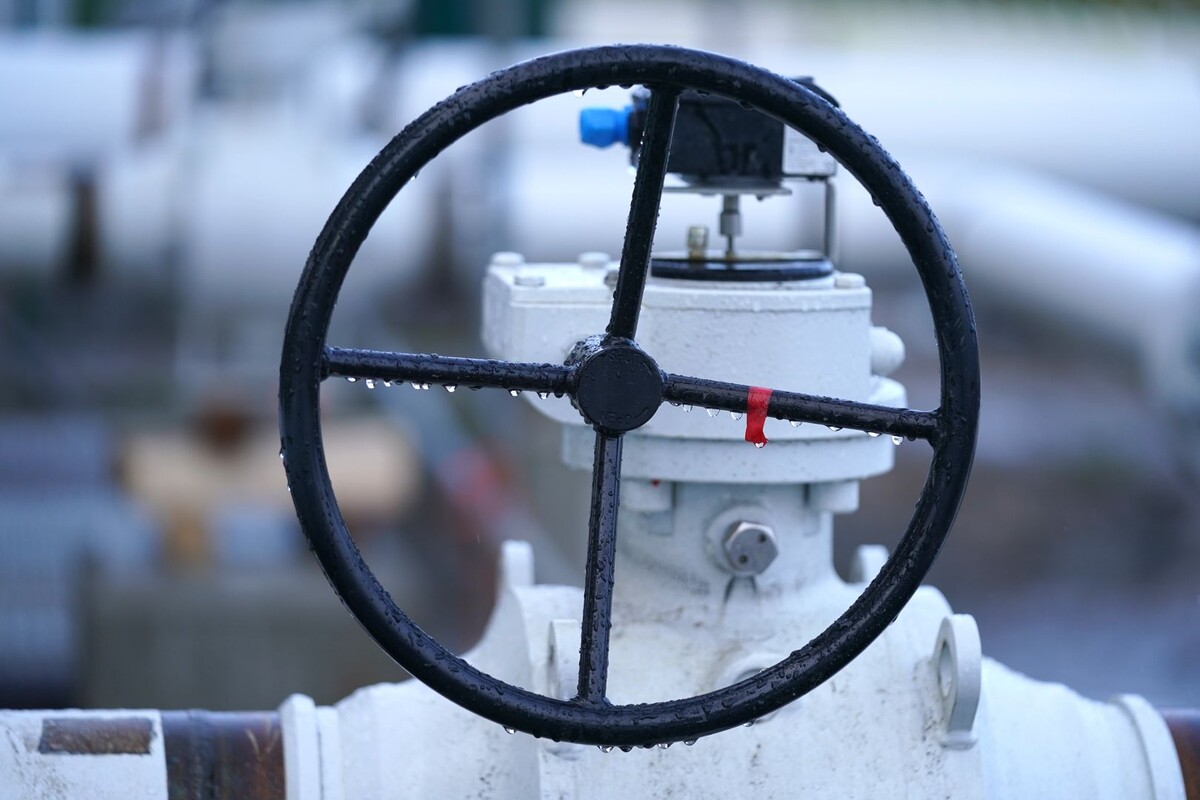     / Источник: © Marcus Brandt/Global Look Press