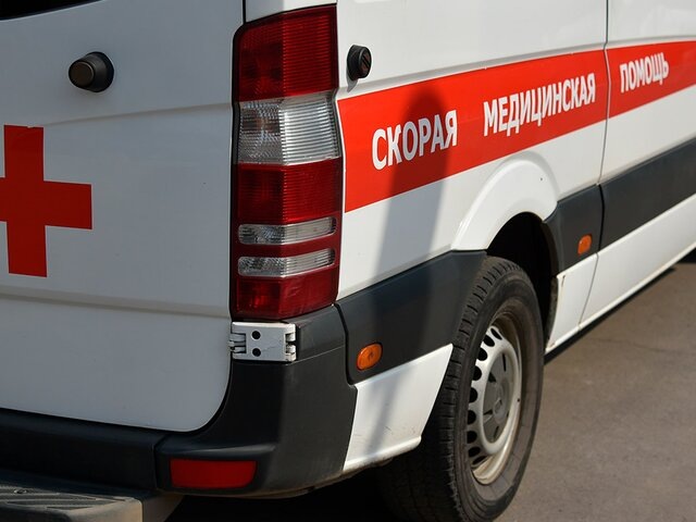    Фото: Москва 24/Антон Великжанин