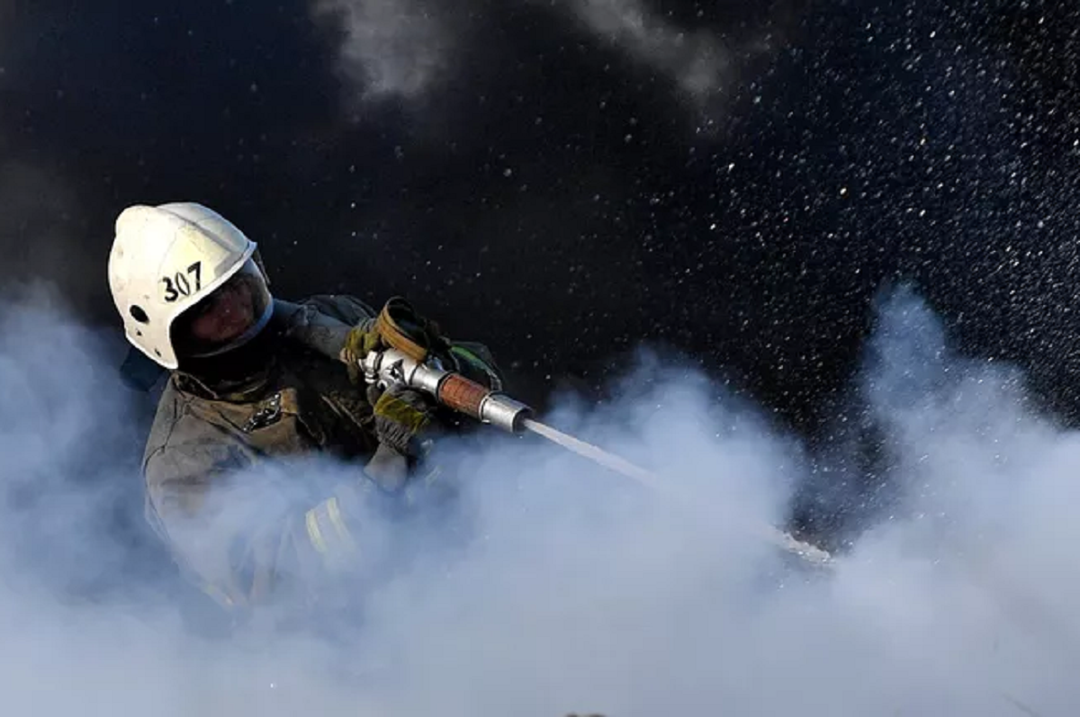    Фото: Павел Лисицын, источник: РИА Новости