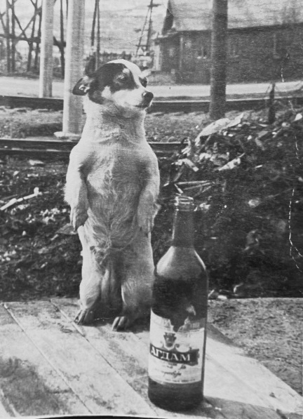 Собака задумчиво смотрела вдаль, она всё еще думала - нальют ей Агдама или больше нет?