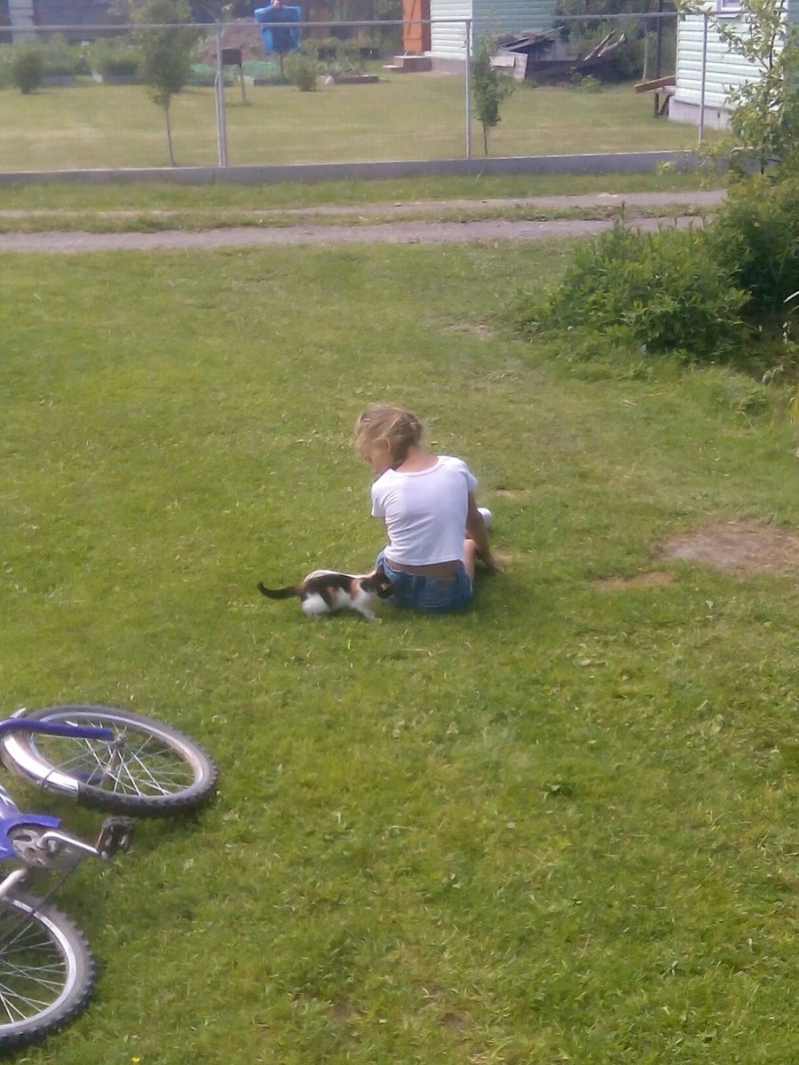 Устовший Зябчик и её Круглый Булка во времена, когда Булка была бомжом