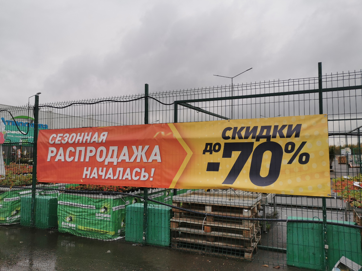 Дарвин Zеленопарк, 11.10.2025