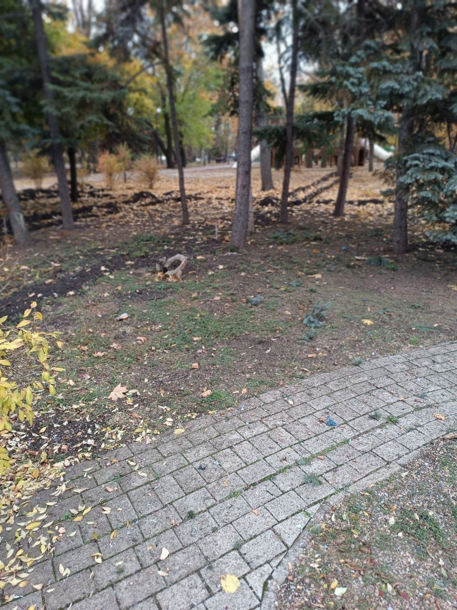    Боевики ВСУ дважды атаковали парк кованых фигур в Донецке с БПЛА. Фото: Глава Донецка Алексей Кулемзин