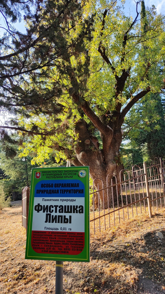 Массандровский парк, где мы гуляли с собакой