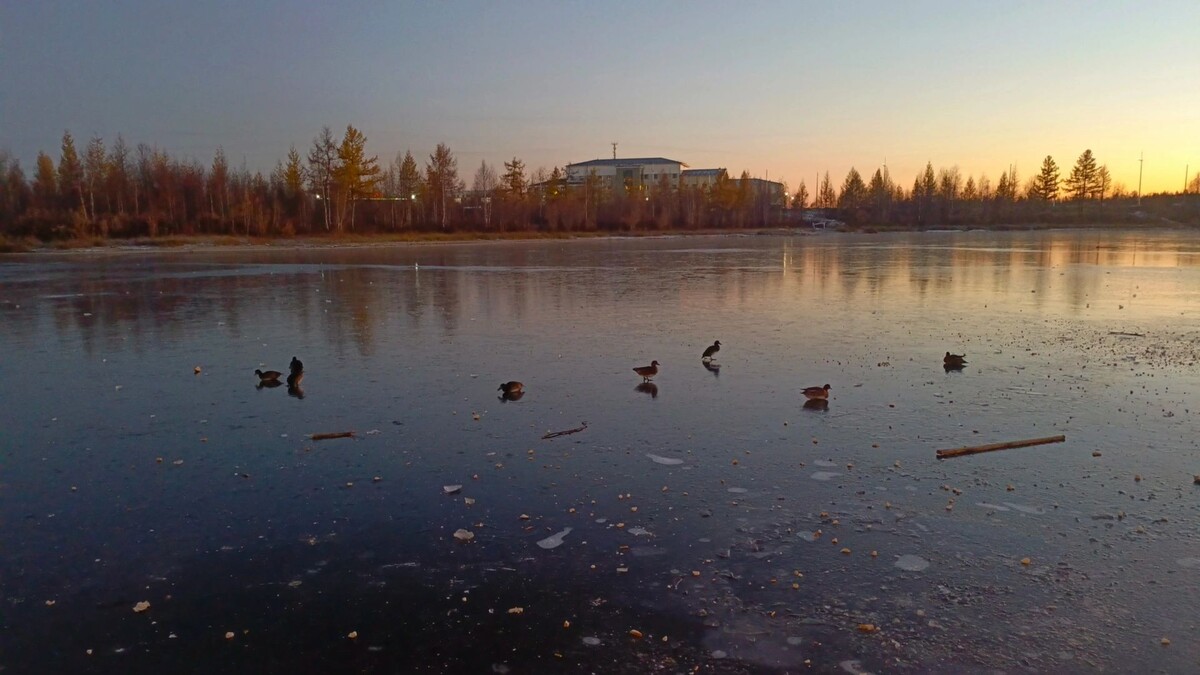    Фото: Юлия Перова / «Ямал-Медиа»