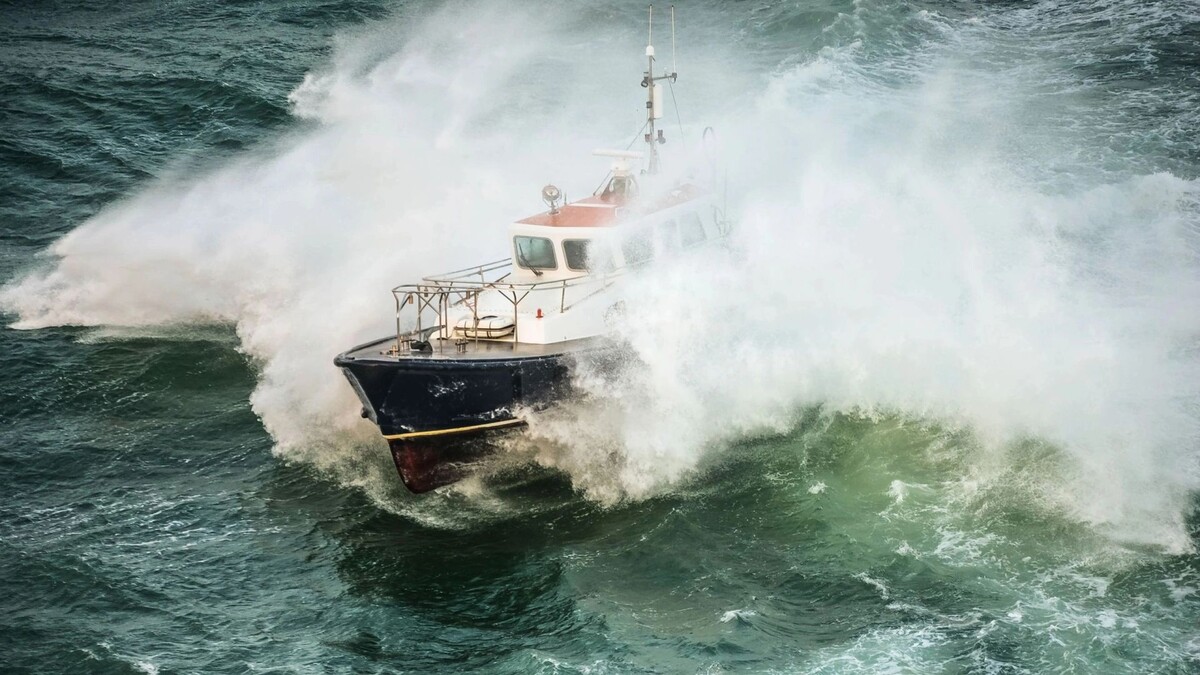    Фото: ID-VIDEO/Shutterstock/Fotodom