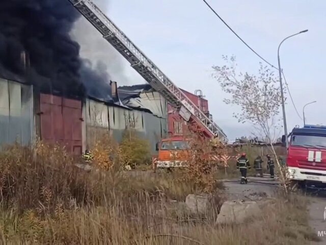    Фото: телеграм-канал "МЧС России"