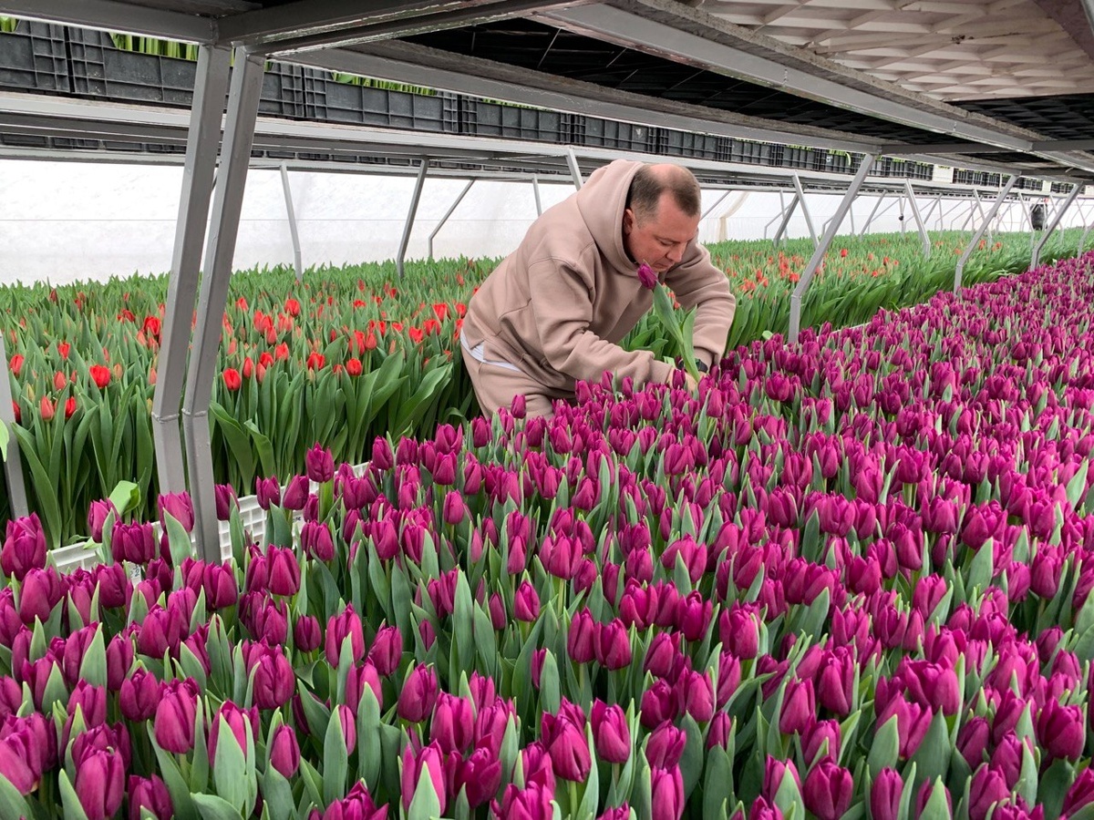 Контроль качества 