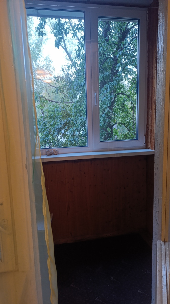 А из нашего окна груша старая видна)