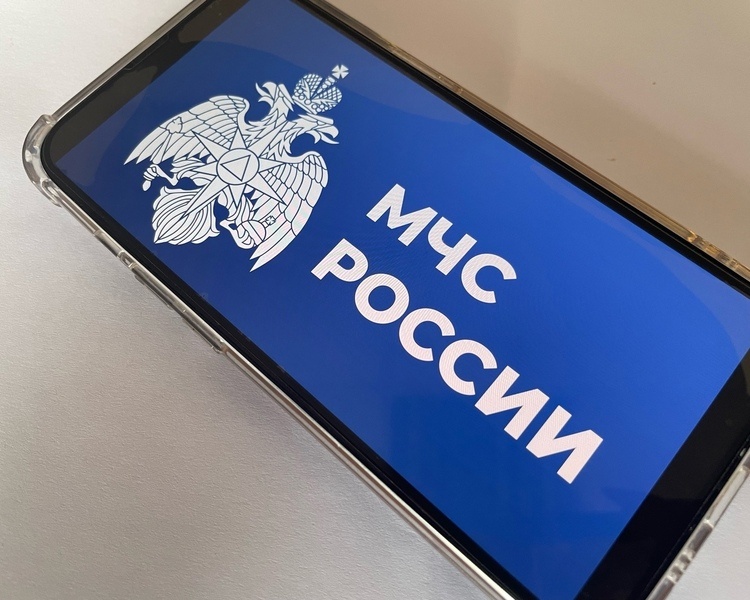     Курянин пострадал от вражеского БПЛА в Беловском районе