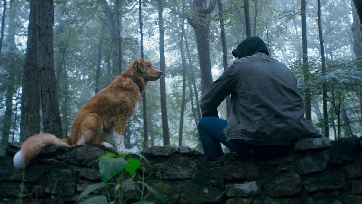 Фото с imdb.com