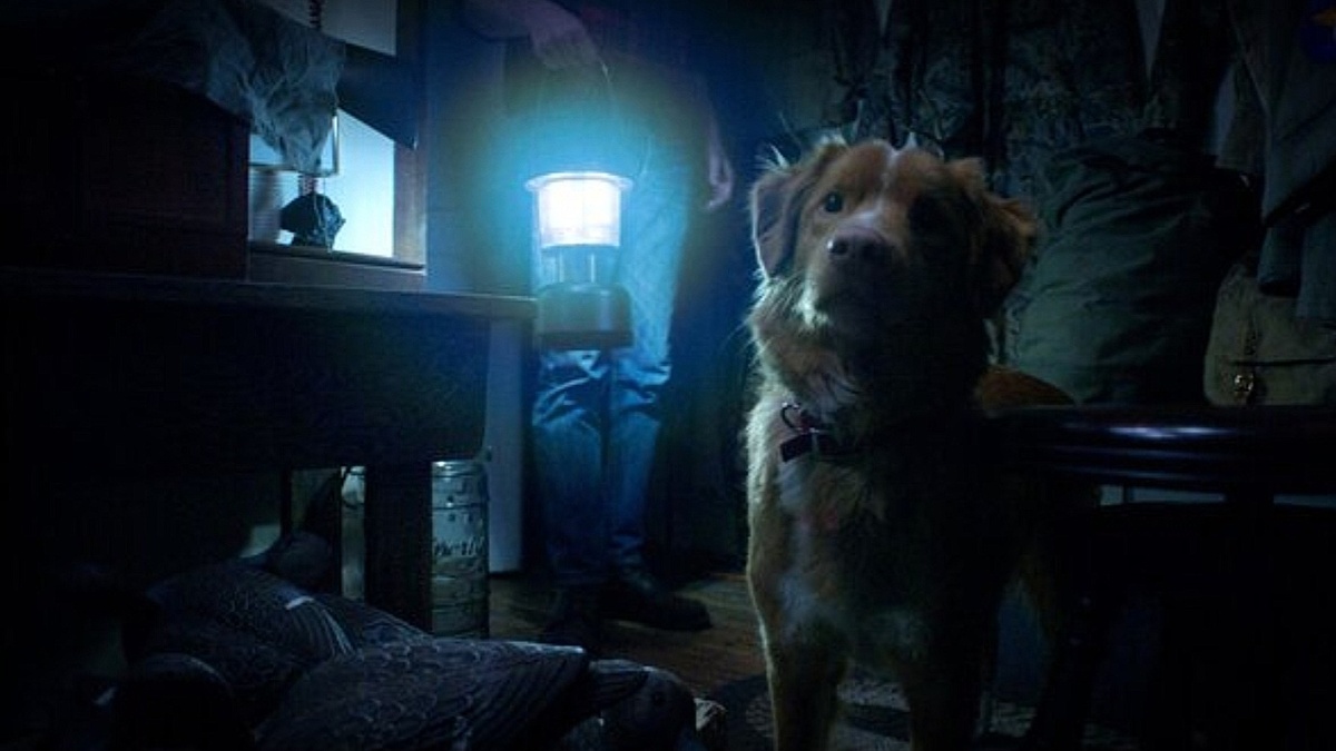 Фото с imdb.com