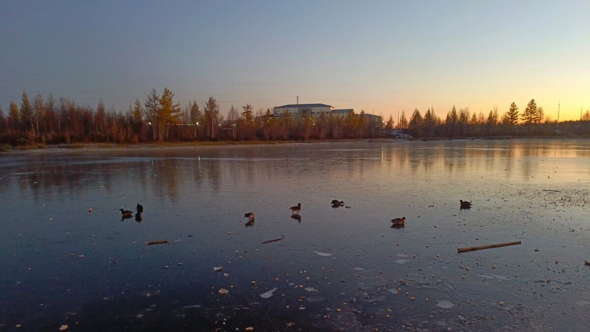    Фото: Юлия Перова/«Ямал-Медиа»