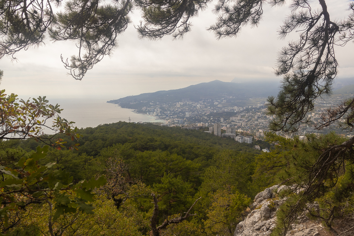 Вид на Ялту  @ph_khabirova_alfiya