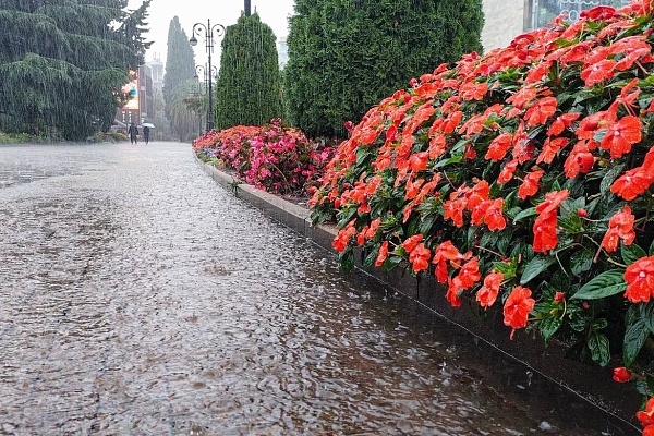    Фото: Telegram/Сочи Официальный