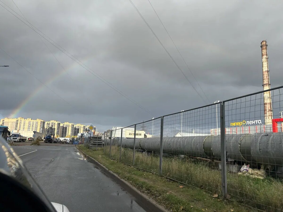    Фото: читательница Мойка78 Елена