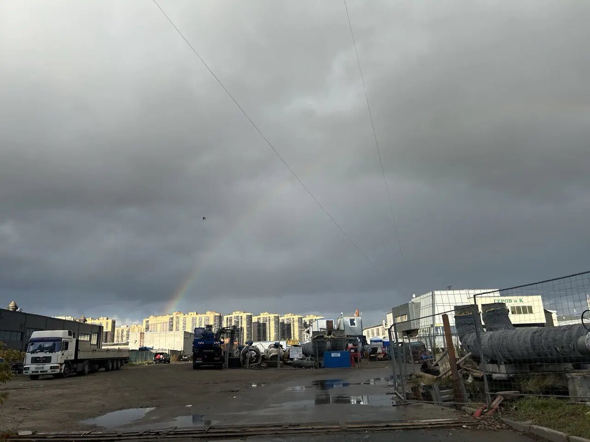    Фото: читательница Мойка78 Елена