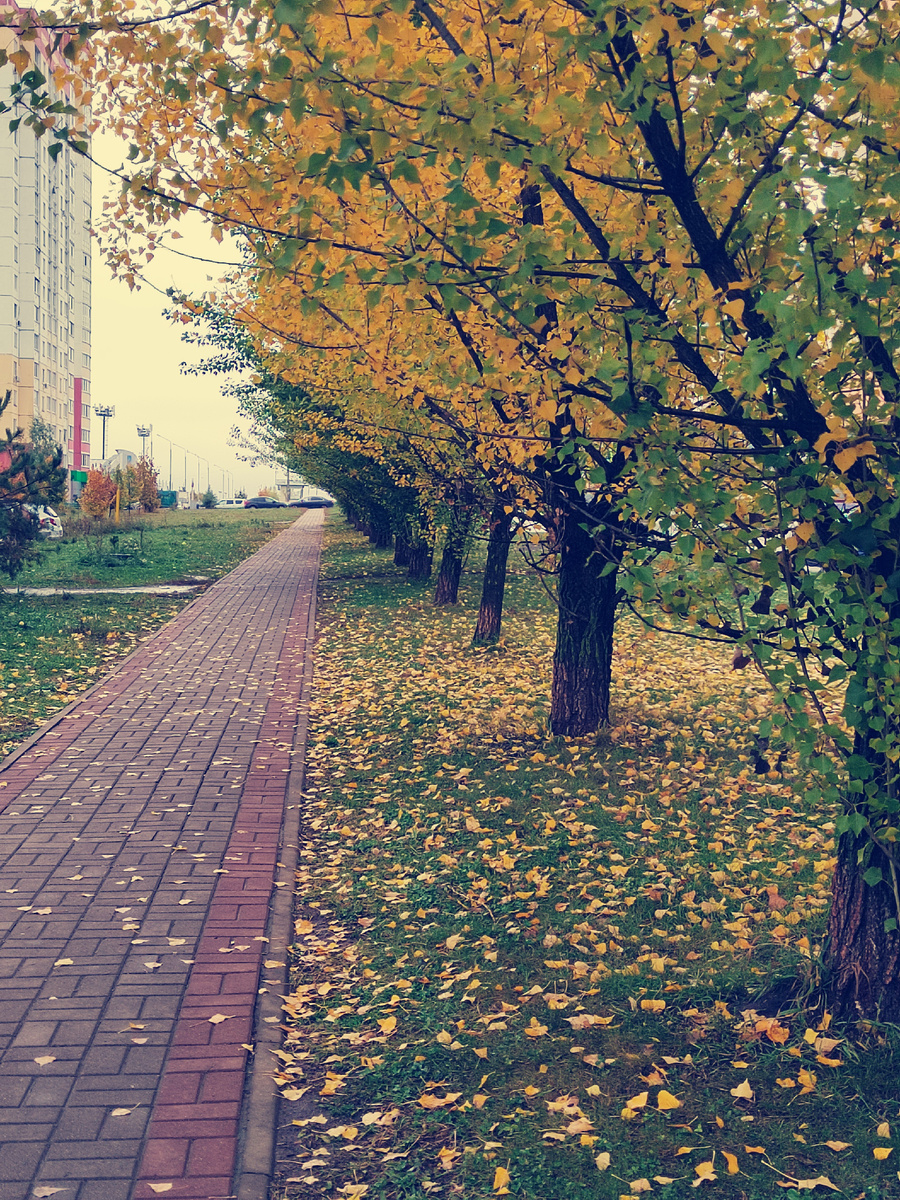 Фото автора канала.