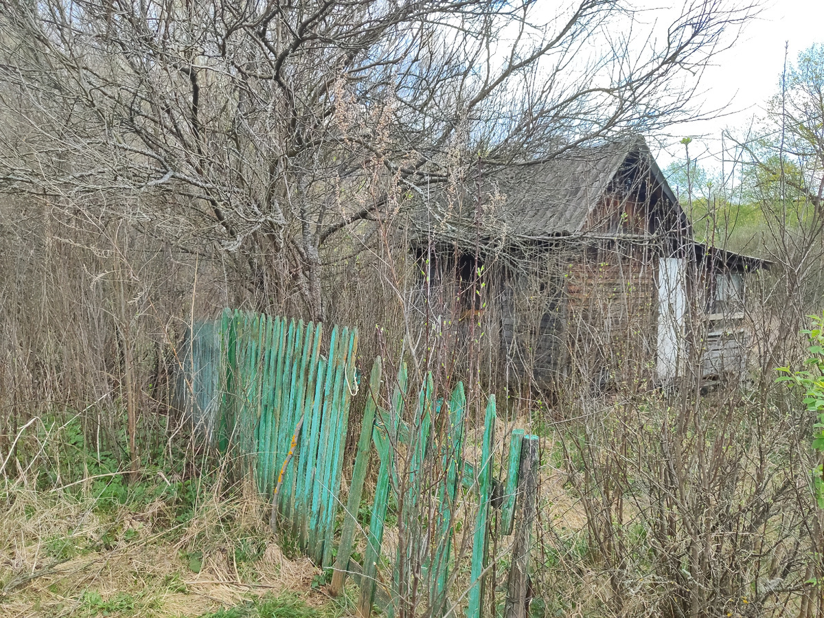 я не ожидала такого увидеть....