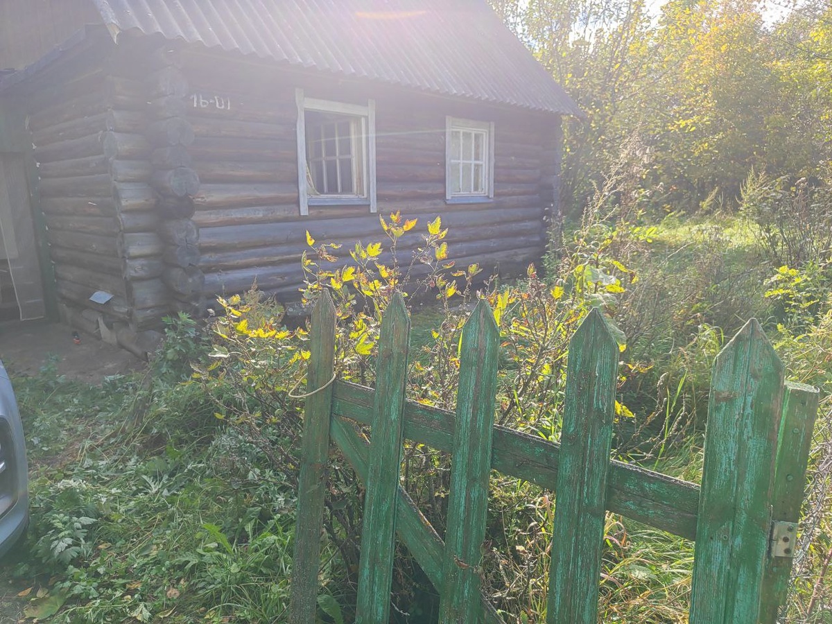 проветриваем дом. Перед калиткой и за калиткой было много поросли, нельзя было заехать весной, но она не выросла
