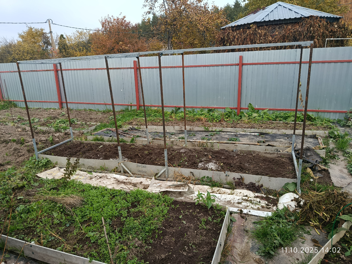 добавила эту смесь и сюда. Под будущие высокорослые томаты