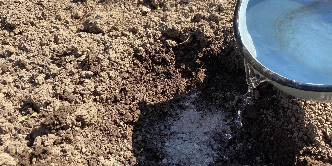 Готовлю сад к зиме одним составом от тёщи. Вредители боятся этого раствора уже 10 лет