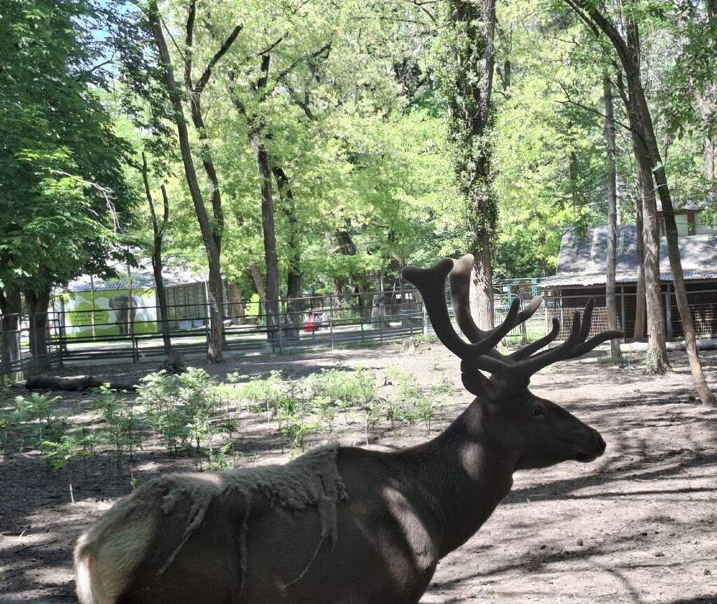    фото "Веселовские вести" Веселовские вести