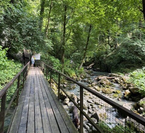    Фото: t.me/chp_sochi