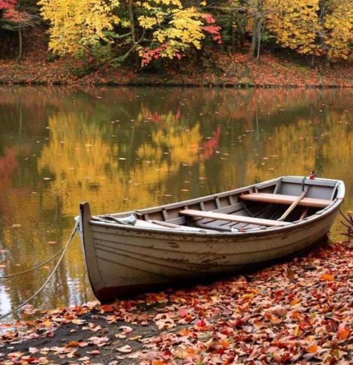 Иллюстрация: Сгенерировано нейросетью