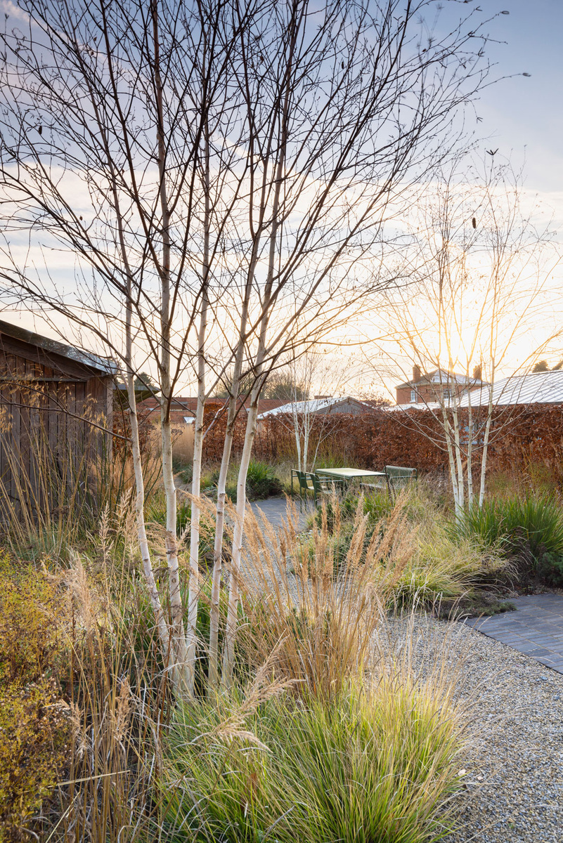 Джозеф Колм, природный сад в Восточном Саффолке