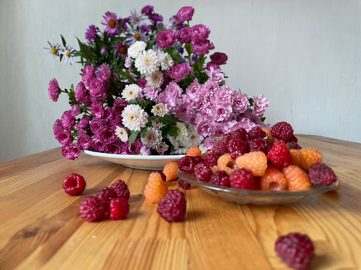 Последние дары сезона 2025