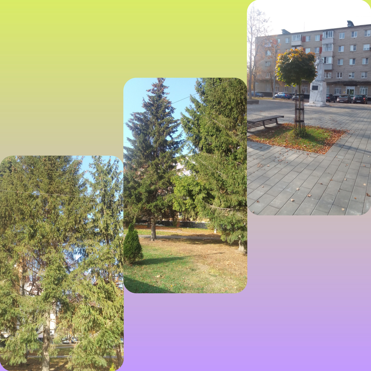 Фотоколлаж автора